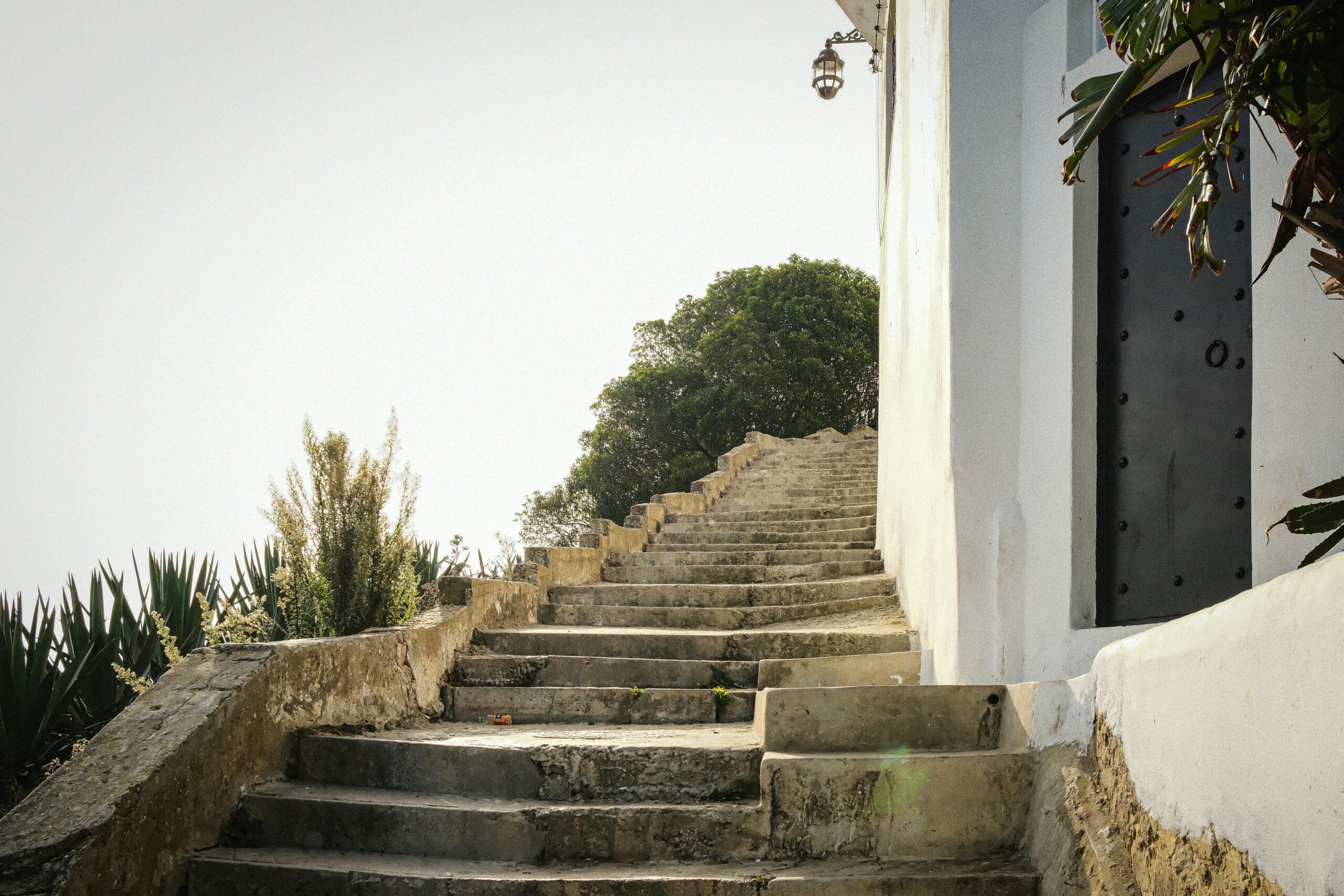 Stone steps climbing past a closed wooden door beside a white wall